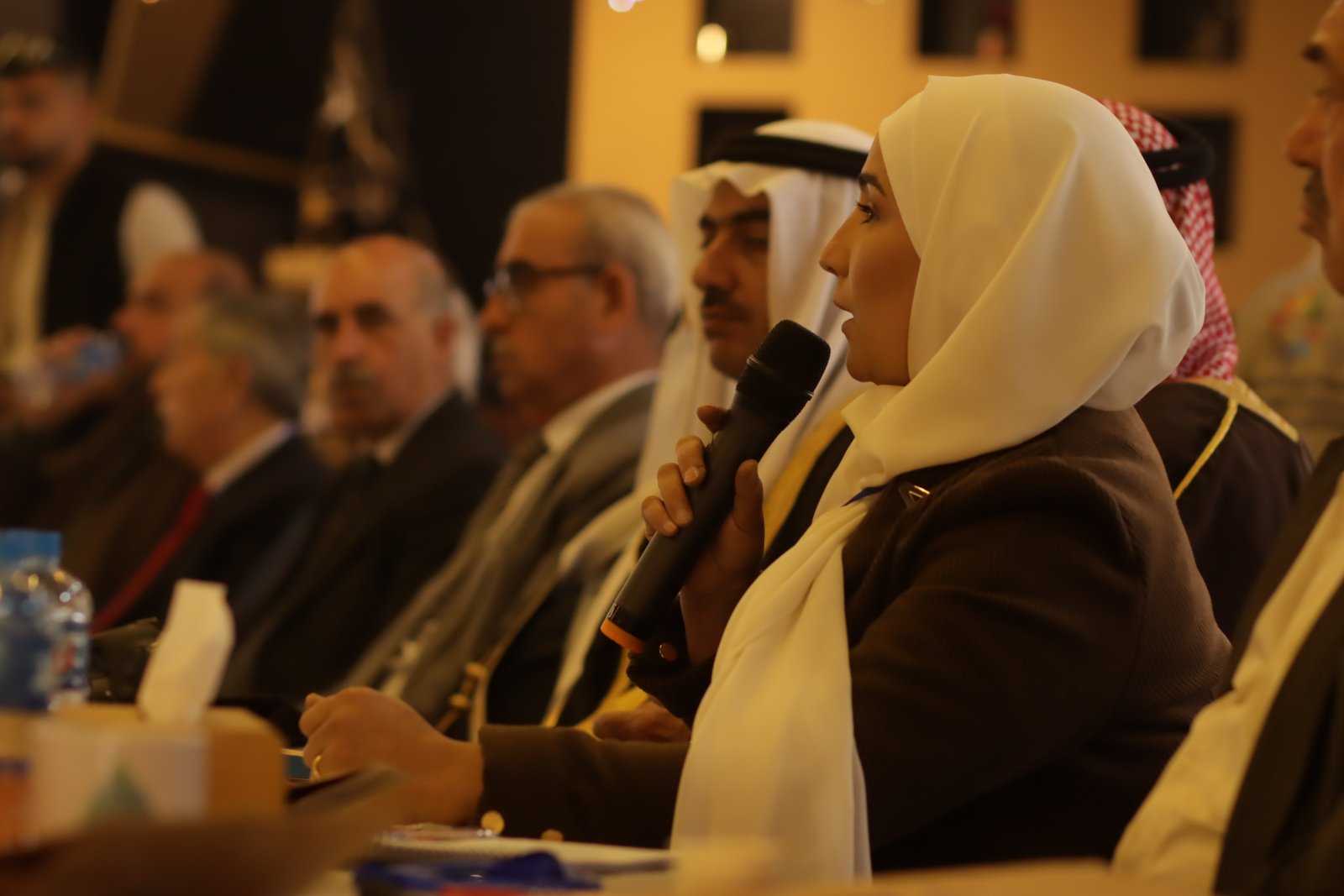 السلم الأهلي... مجتمع متماسك وآمن/Civil Peace a Cohesive and Safe Society